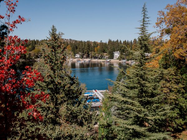 A tranquil lake surrounded by trees in autumn colors, with a clear blue sky above, visible through the branches.
