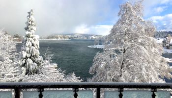 A snowy landscape with frosted trees by a lake under a cloudy sky, seen from behind a decorative metal railing.