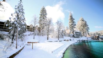 A snowy landscape with trees and buildings by a clear lake under a bright blue sky.