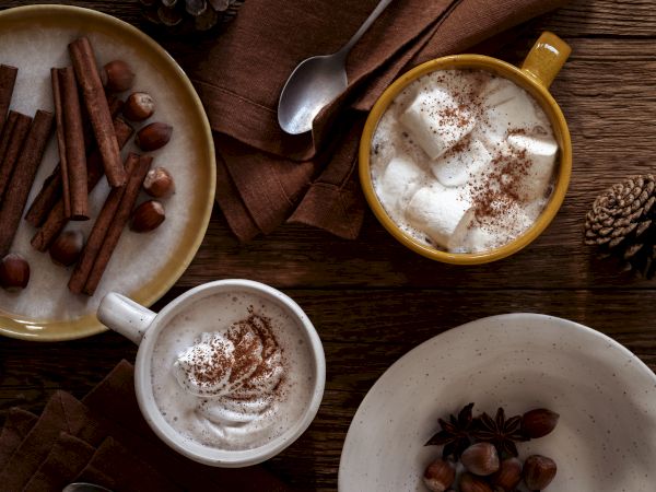The image shows mugs of hot chocolate with marshmallows and whipped cream, surrounded by cinnamon sticks and nuts on a rustic table.